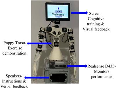 Assimilation of socially assistive robots’ by older adults: an interplay of uses, constraints and outcomes